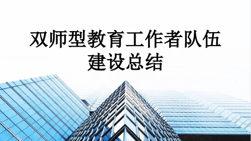 双师型教育工作者队伍建设总结