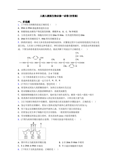 人教人教版生物必修一试卷(含答案)