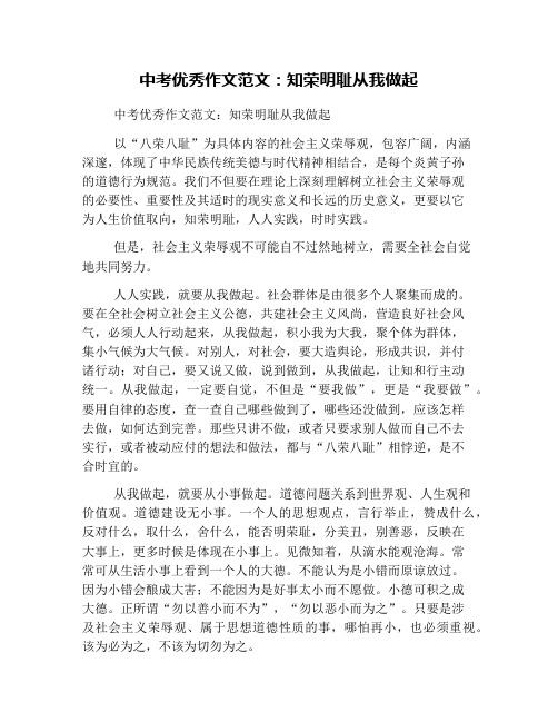 中考优秀作文范文:知荣明耻从我做起