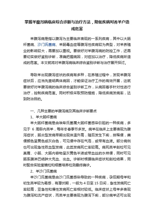 掌握羊腹泻病临床综合诊断与治疗方法，降低疾病对养羊户造成危害