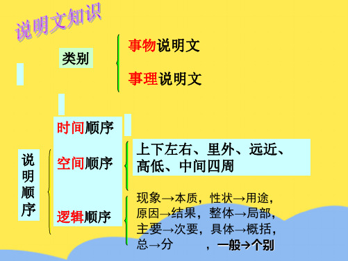 说明文知识点归纳(“说明”相关文档)共7张