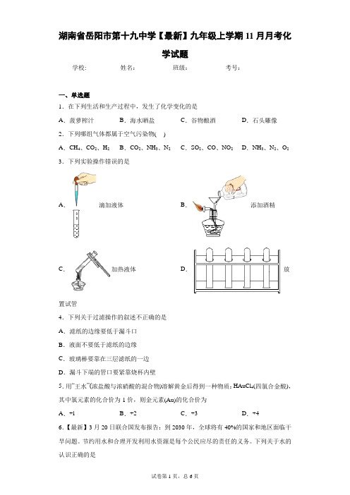 湖南省岳阳市第十九中学2020-2021学年九年级上学期11月月考化学试题 答案和解析