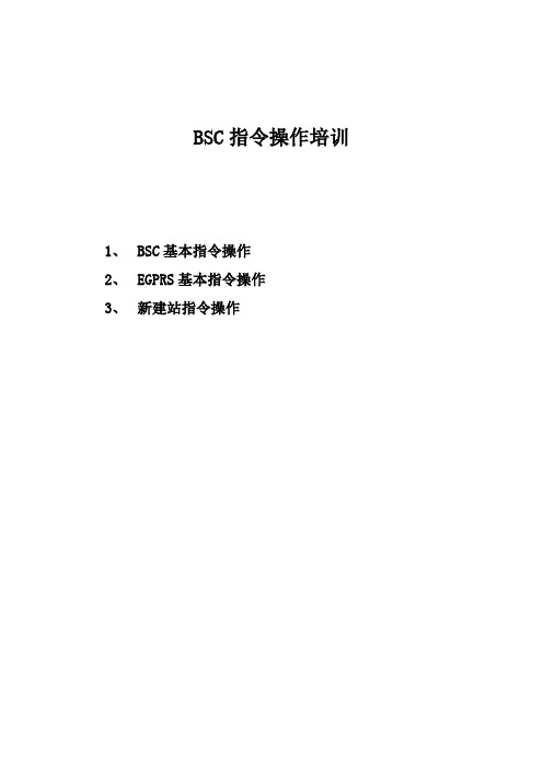 诺基亚BSC相关指令操作培训