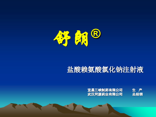 舒朗盐酸赖氨酸氯化钠注射液