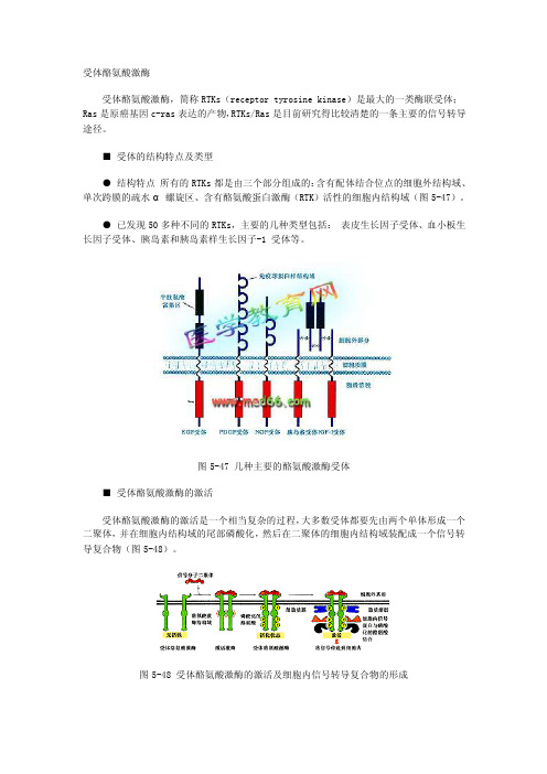 受体酪氨酸激酶