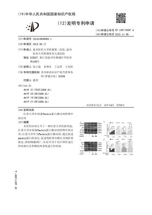 红景天苷在制备Parkin蛋白激动剂药物中的应用[发明专利]