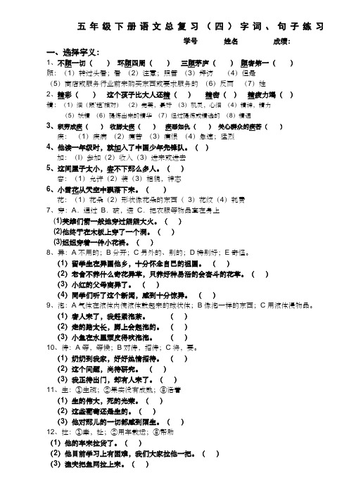 人教版五下册语文总复习四字词句子练习