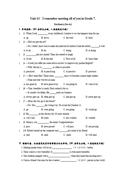 Unit14 SectionA (3a-4c)分层练习设计-九年级英语人教版全册