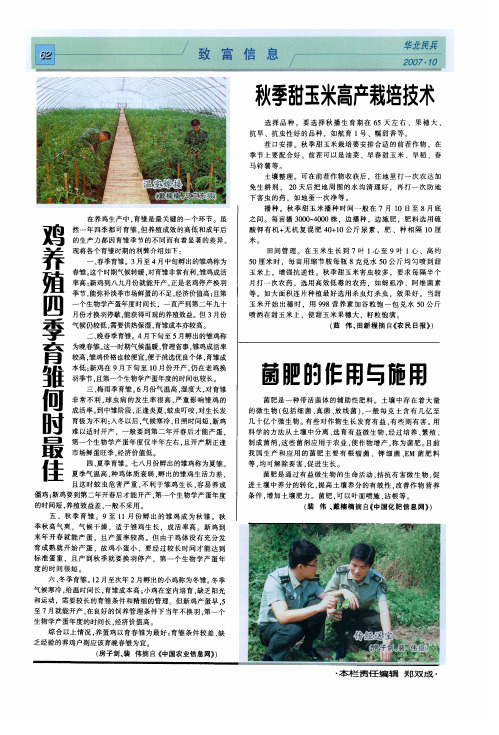 秋季甜玉米高产栽培技术