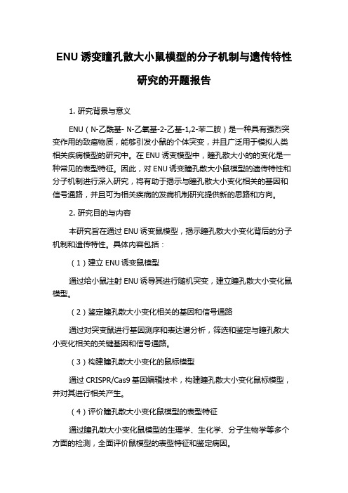 ENU诱变瞳孔散大小鼠模型的分子机制与遗传特性研究的开题报告