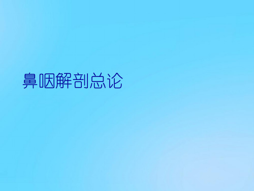 【优】鼻咽解剖总论PPT资料