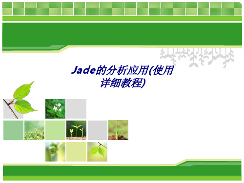 Jade的分析应用使用详细教程专题培训课件