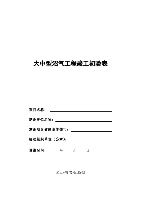 大中型沼气工程竣工验收表