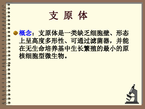 衣原体检验立克次体检验支原体检验螺旋体及检验课件