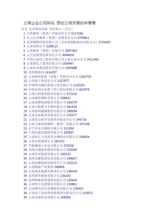云南企业公司排名