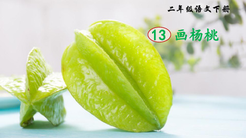 【优选推荐】部编人教版小学二年级语文下册 13 画杨桃(课件)精美课件