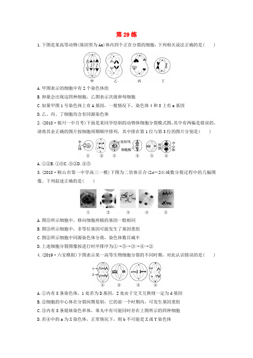 2020版高考生物(鲁京津琼)一轮复习加练半小时第四单元第29练含解析