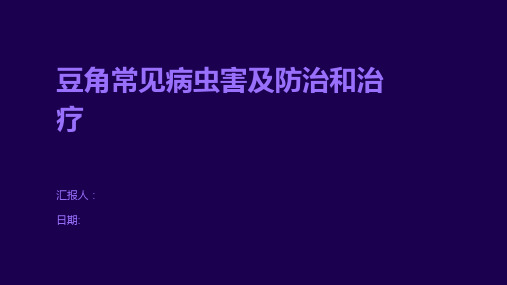 豆角常见病虫害及防治和治疗