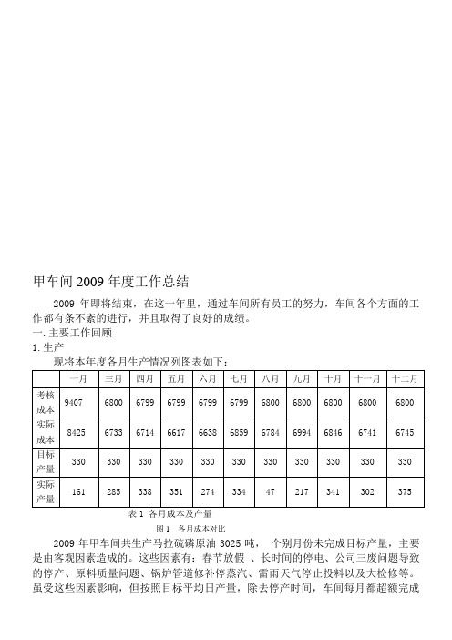 甲车间2009年度工作总结doc(定稿)