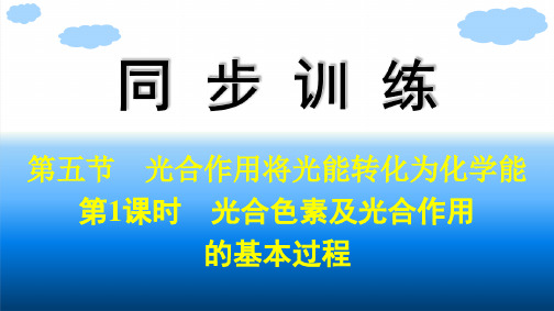 浙科版高中生物学必修1精品课件 第3章 细胞的代谢 第5节  第1课时 光合色素及光合作用的基本过程