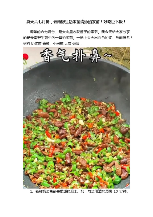 夏天六七月份，云南野生奶浆菌清炒奶浆菌！好吃巨下饭！