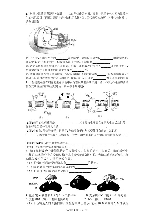 光合作用呼吸作用大题