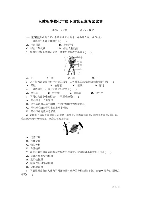 人教版生物七年级下册第五章考试试题及答案