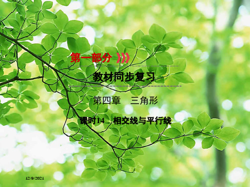 中考数学高分一轮复习 第一部分 教材同步复习 第四章 三角形 课时14 相交线与平行线课件