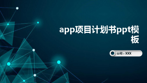 app项目计划书ppt模板