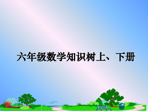 最新六年级数学知识树上、下册教学讲义ppt课件