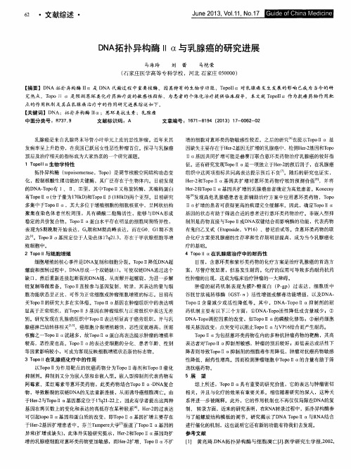 DNA拓扑异构酶Ⅱα与乳腺癌的研究进展