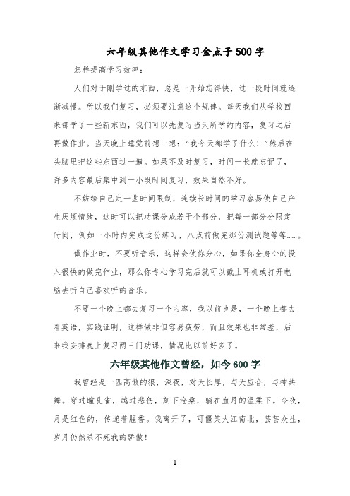 六年级作文学习金点子500字