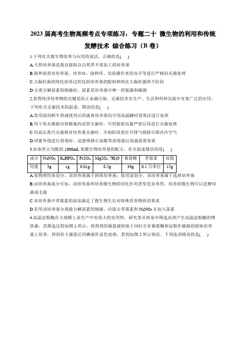 2023年高考生物高频考点专项练习：专题二十 微生物的利用和传统发酵技术 综合练习(B卷)(含答案)