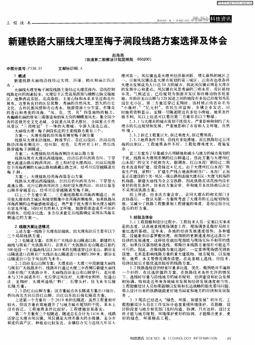 新建铁路大丽线大理至梅子涧段线路方案选择及体会