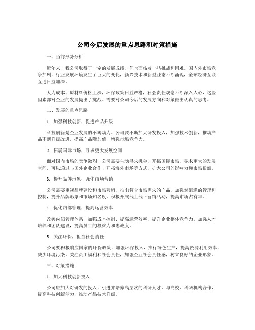 公司今后发展的重点思路和对策措施