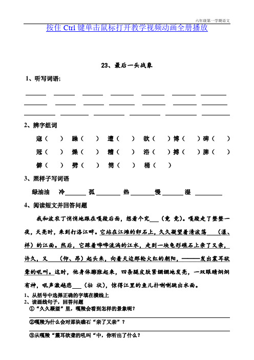 人教版语文六年级上册最后一头战象练习题