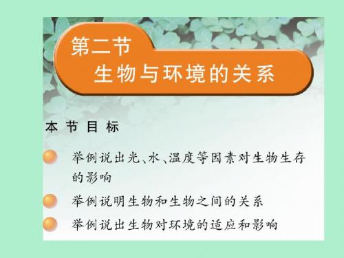 12生物与环境的关系ppt.ppt