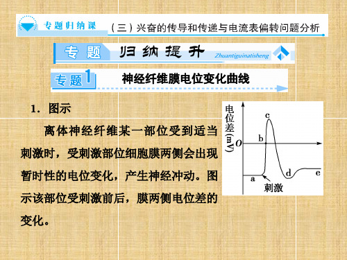 【课堂新坐标】(教师用书)高中生物 兴奋的传导和传递与电流表偏转问题分析专题归纳名师精编课件 中图版必