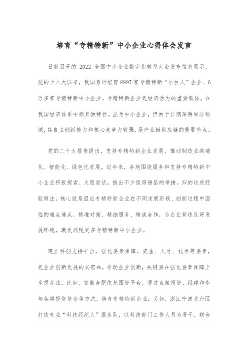 培育“专精特新”中小企业心得体会发言