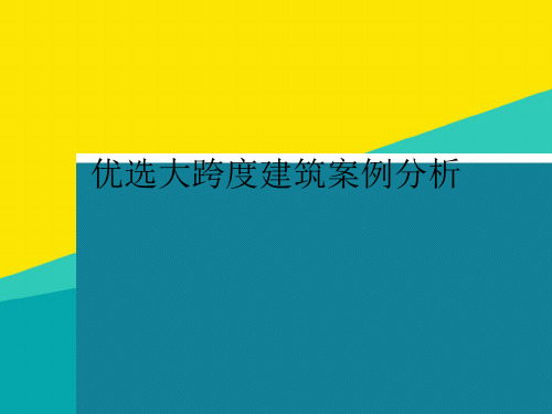 (优)优选大跨度建筑案例分析pptppt文档