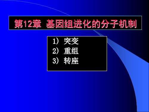 第12章 基因组进化的分子机制