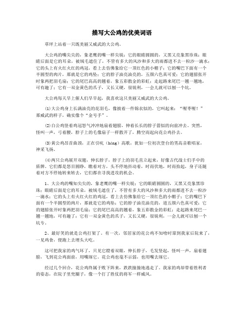 描写大公鸡的优美词语