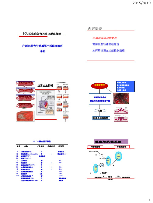 常用凝血指标解读20150823