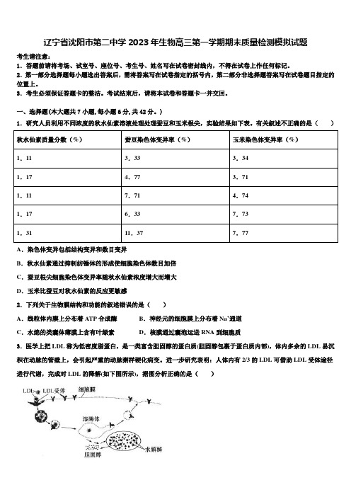 辽宁省沈阳市第二中学2023年生物高三第一学期期末质量检测模拟试题含解析