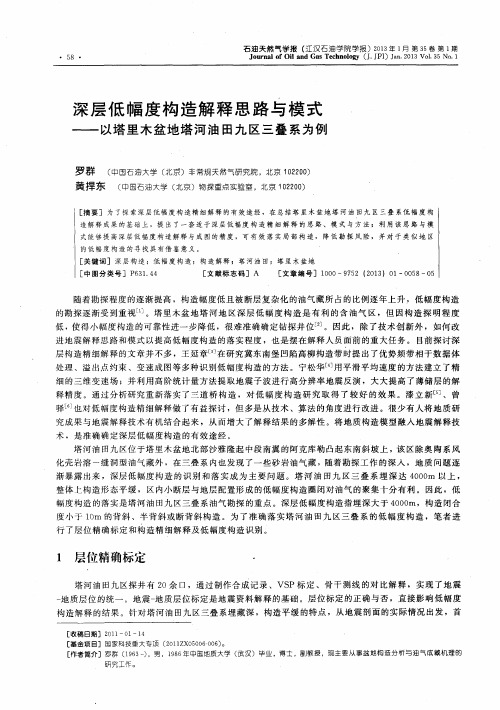 深层低幅度构造解释思路与模式——以塔里木盆地塔河油田九区三叠系为例