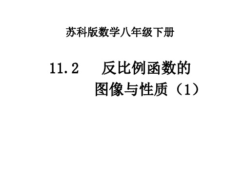 苏科版八年级数学下册课件：11.2反比例函数的图像与性质(1) (共11张PPT)