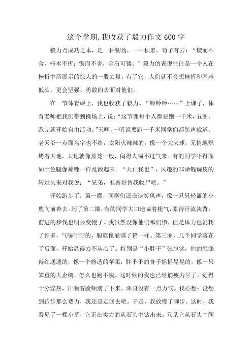 这个学期,我收获了毅力作文600字