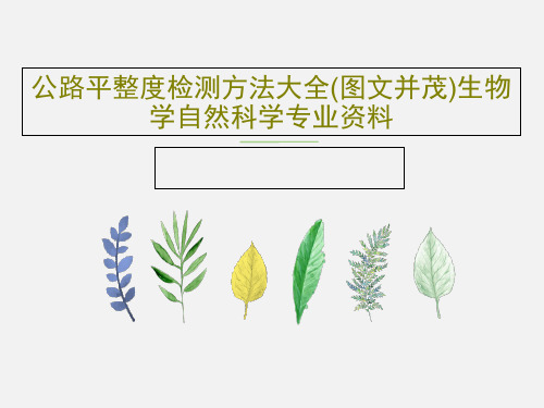 公路平整度检测方法大全(图文并茂)生物学自然科学专业资料共34页