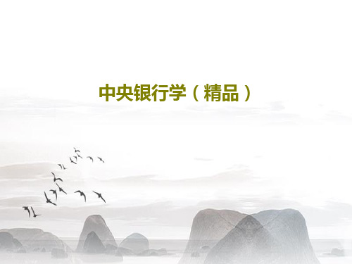 中央银行学(精品)55页PPT