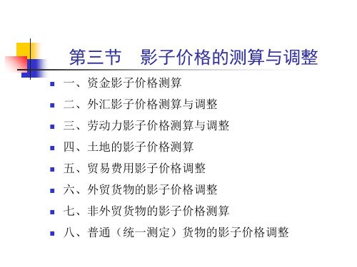 第三节  影子价格的测算与调整